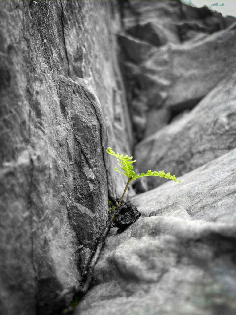 Hello World Featured Image
